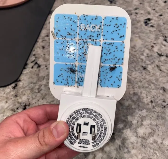 Finally, A Solution To Those Uninvited Summer Guests! This <span Style="Font: Inherit; Color: #d74b1f;"> Indoor Plug-In Fly Trap </Span> Is The Ultimate Fly Repellent