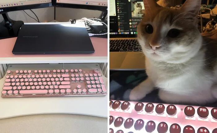 Ditch The Boring Office Keyboard And Unleash Your Inner Hemingway With This <a Style="Display:inline;" Href="Https://Www.amazon.com/Keyboard-Typewriter-Style-Switches-Backlight-Mechanical/Dp/B082lxpt5g?crid=2ersa9srsw804&dib=eyj2ijoimsj9.bqsohcvq07dza3zmb3eqwywxu57cvyav-1twxphneaosj7hbsatr5jxntp_cjsnwqpnmk06n-Lbmyfgmyii3iersumeu141q8jsyqdd9oj6mlv9c-U2lx6b7rbkft9bbpwika8ia1_oymxqcqkpmq-1ysidydx3qoculfgf_mibts7wjbvwxxxc60fkj6uik.exn3decsvs0ncxmmyomhd3yk5_ivwpcinwpuphuxr4u&dib_tag=se&keywords=unique%2bkeyboard&qid=1725433983&sprefix=unique%2bkeyboar%2caps%2c217&sr=8-22-Spons&sp_csd=d2lkz2v0tmftzt1zcf9tdgy&th=1&linkcode=ll1&tag=bpsloth-20&linkid=57f266e8a82b4118d60ecae9dc7f0dca&language=en_us&ref_=as_li_ss_tl " Target="_blank"><span Style="Font: Inherit; Color: #d74b1f;"> Retro Punk Typewriter-Style Keyboard</Span> — Just Try Not To Get Too Distracted By Its Awesome Click-Clack Sounds