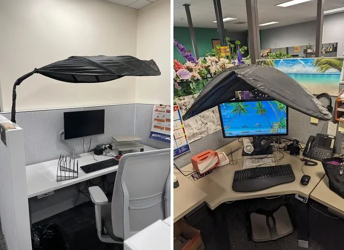 Ditch The Fluorescent Glare And Embrace The Cozy Vibes Of Your Favorite Coffee Shop With This <a Style="Display:inline;" Href="Https://Www.amazon.com/Topshade-Office-Cubicle-Desk-Shade/Dp/B0bktmklmd?crid=el7ifdf07bhl&dib=eyj2ijoimsj9.7zbfhrmnmqy_hfeiobn_xdu7pkh8gqyufkwv4mbrtsdpxkbc3hm4j0j4cqzg3ftsxbfmhvt3dixvcmvv0jr9vvua8txcr7wcnqg7nl1-R7fqp6gqebxcxdhtxq6bzg2qvtmu8mmz9ifkqgr_enf0hs62igcnraqbx6gfkxe0xu_pmopuo3ow_9_2qspumkrswfcpyb05iuebljnhg9las8bbdravwwcdapiiwecykorcuks9c2wnmojdpmwiwpfhvkn9xmgo0n2qenxoctjzd-9mvx6kllnsjxjykiu7j7e.jtg4d4atwbjohd7yuo9rxl5o5myzzuxi4a3-Cowsuju&dib_tag=se&keywords=office+leaf+shade&qid=1725269981&sprefix=office+leaf%2caps%2c212&sr=8-4&linkcode=ll1&tag=bpsloth-20&linkid=9b8bcbfdeca00ab21aca7f9f9b83fc97&language=en_us&ref_=as_li_ss_tl " Target="_blank"><span Style="Font: Inherit; Color: #d74b1f;"> Office Cubicle And Desk Shade</Span>