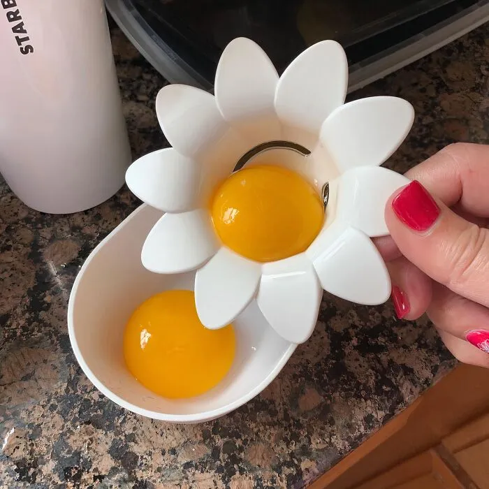 Separate Eggs Like A Pro With This Cute <a Style="Display:inline;" Href=" Https://Www.amazon.com/Peleg-Design-Plastic-Separator-Extractor/Dp/B07p7wxdw7?crid=2nb6n04vlw3sf&dib=eyj2ijoimsj9.yfn2xvlweu430h7n90z-8fq06itmnmayewyxujmsckwimciokls3wvpxwlqkxrocvdt1ctffgkrvn_qvtf7hlqfz-91ubefbbojdxut9iymliqfb6qk78d2_najedvywbd74k1hn9sgeygompbh1angwpdiwshhhtamhasjb2bz62gqbq_-Mcioqoeam9w3kjdjgq8sfdbuggjqe7-Ugipo1gtgusj2x_7b950m54rpznyecnwdni7pivtiedvepz59ny-Uahfcawbcsbeigid6m9e3augmuj6g-Xs6xrf8.zzrowd5ozafxfgwsuzi7k-Frm5c9ewcirdji_f7wvmm&dib_tag=se&keywords=plastic%2bdaisy%2begg%2bseparator&qid=1725451415&sprefix=%2caps%2c221&sr=8-1-Spons&sp_csd=d2lkz2v0tmftzt1zcf9hdgy&th=1&linkcode=ll1&tag=bprabbit-20&linkid=5a60af3ff416cb56b595873fcf5efdc2&language=en_us&ref_=as_li_ss_tl " Target="_blank"> <span Style="Font:inherit;color:#d74b1f;"> Daisy Egg Separator</Span>