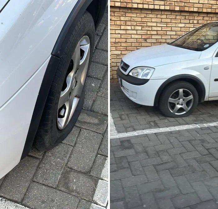 "Was about to get in my car to go to work…" - <span Style="Font:inherit;color:#808080"> monster_eleven</Span>