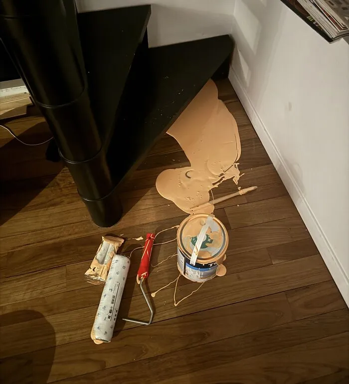"Spilled a whole can of paint on my wooden floor… What now? " - <span Style="Font:inherit;color:#808080"> clem_ha</Span>