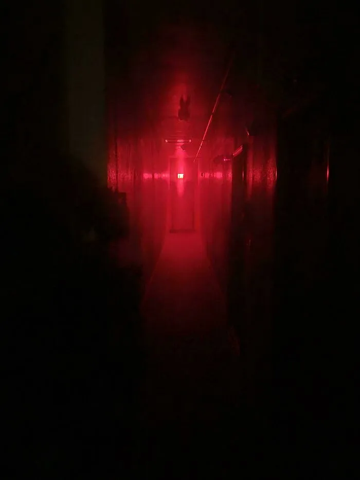 The Hallway Outside Of My Apartment