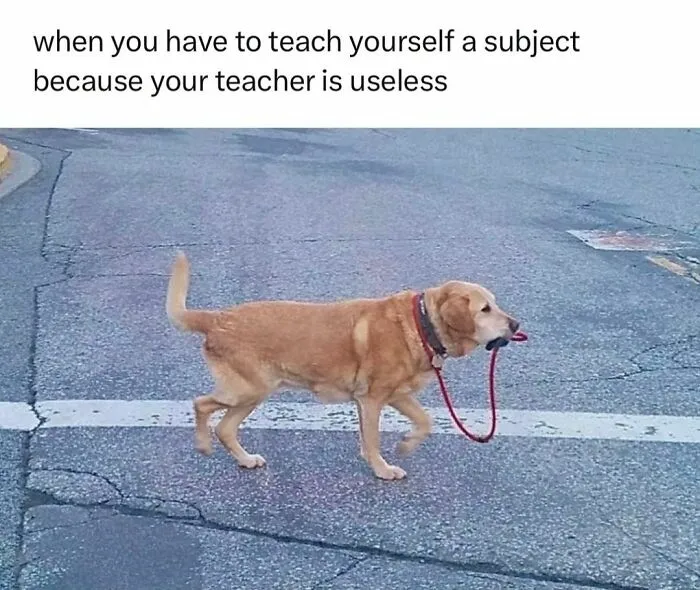 “Should We Just Drop Out?”: 35 Memes That Perfectly Sum Up The ‘Medical Way’