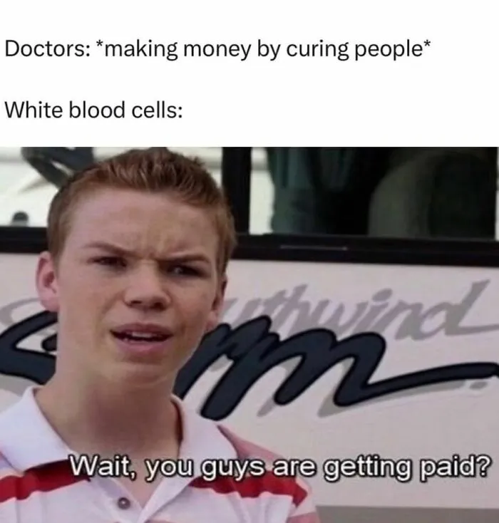 “Should We Just Drop Out?”: 35 Memes That Perfectly Sum Up The ‘Medical Way’