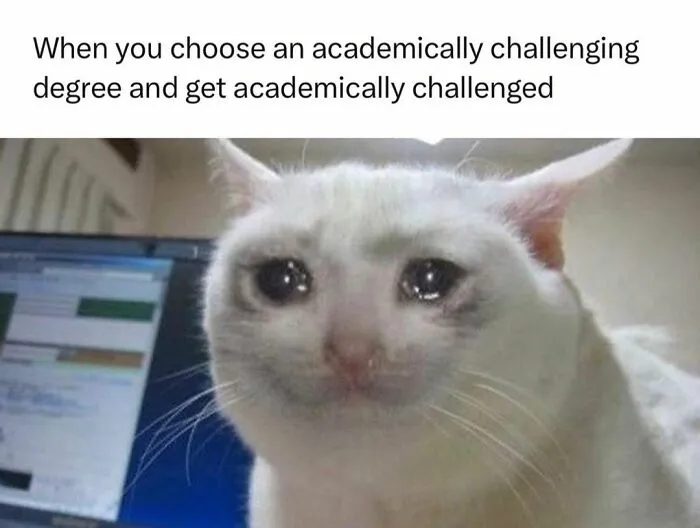 “Should We Just Drop Out?”: 35 Memes That Perfectly Sum Up The ‘Medical Way’