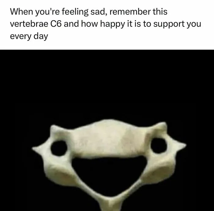 “Should We Just Drop Out?”: 35 Memes That Perfectly Sum Up The ‘Medical Way’
