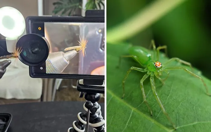 From Macro Close-UPS To Wide-Angle Landscapes, This <a Style="Display:inline;" Href="Https://Www.amazon.com/Xenvo-iPhone-Camera-Lens-Clip/Dp/B01a6d2jvi?crid=1bssyicarqumu&dib=eyj2ijoimsj9.3wwyjbjkue9xmz20ccviruohs1rg0efbhu1q8ccgzyvhz5zmrfbsobznexs1dorshpqgbk6gnkfpuz76bao1mci_c_jj7mje3c1xzp1d1ny.i-6f705lsdmvghbp9_zxa2s2h8dpm31vv9xesm-Y_94&dib_tag=se&keywords=unique+tech&qid=1725444665&sprefix=unique+tech%2caps%2c635&sr=8-98-Spons&sp_csd=d2lkz2v0tmftzt1zcf9hdgzfbmv4da&psc=1&linkcode=ll1&tag=bprooster-20&linkid=bd1828400984995d494f6949178e3c0b&language=en_us&ref_=as_li_ss_tl" Target="_blank"><span Style="Font: Inherit; Color: #d74b1f;"> Pro Lens Kit</Span> Will Unlock Your Phone's Full Photographic Potential 
