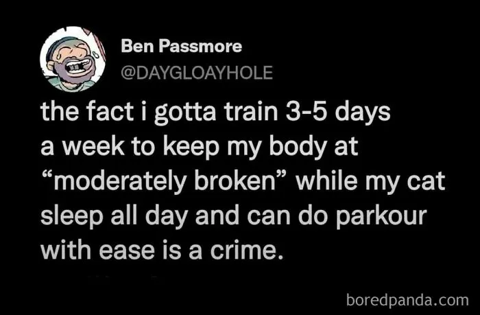 50 Funny Random Memes You Might Wish You Had Friends To Send To (New Pics)