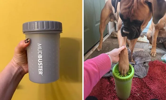 Rainy Day Walks Just Got A Whole Lot Less Messy With This <a Style="Display:inline;" Href="Https://Www.amazon.com/Dexas-Mudbuster-Portable-Cleaner-Large/Dp/B01n41hg97?ie=utf8&th=1&linkcode=ll1&tag=bporangutan-20&linkid=b2fdff0052d3856d90ec5b89515b63cf&language=en_us&ref_=as_li_ss_tl" Target="_blank"><span Style="Font: Inherit; Color: #d74b1f;"> Dog Paw Cleaner</Span> On Hand