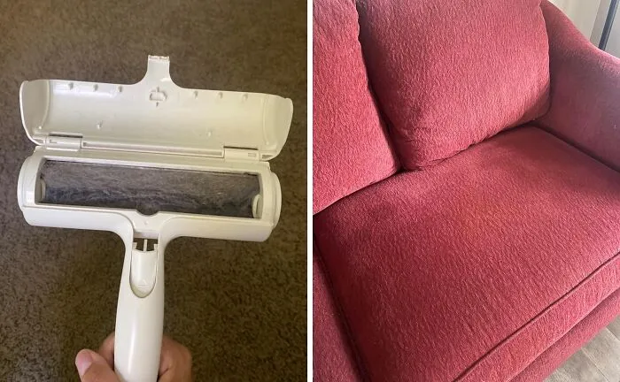 Pet Hair Got Your Couch Looking Like A Furry Monster? This <a Style="Display:inline;" Href="Https://Www.amazon.com/Pet-Dog-Cat-Hair-Remover-Couch/Dp/B00bagtnaq?ie=utf8&th=1&linkcode=ll1&tag=bporangutan-20&linkid=733e806380b39b757b15db5e8e45b4ea&language=en_us&ref_=as_li_ss_tl" Target="_blank"><span Style="Font: Inherit; Color: #d74b1f;"> Chom Chom Roller</Span> Will Tame That Beast In No Time