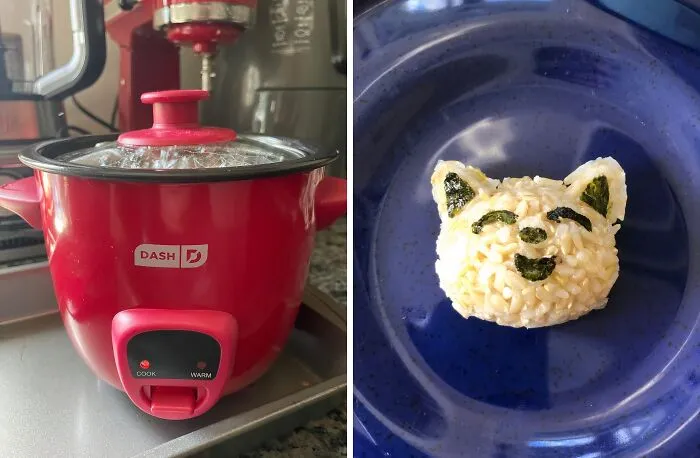 Ditch The Takeout And Embrace The Power Of Perfectly Cooked Rice With This <a Style="Display:inline;" Href="Https://Www.amazon.com/Dp/B07chzp91l?ascsubtag=7705536%2c14%2c34%2cd%2c0%2c0%2cbf-Web-Hf%2c900%3a2%3b974%3a3%3b1125%3a1%3b1338%3a1%2c48424446%2c0%2c0%2c0&btn_ref=srctok-899346d59892856a&linkcode=ll1&tag=bpbison-20&linkid=909f02d8ae17c8d9cc66da6644131cb3&language=en_us&ref_=as_li_ss_tl" Target="_blank"><span Style="Font: Inherit; Color: #d74b1f;"> Mini Rice Cooker</Span> - It'll Be Your Culinary BFF For Life