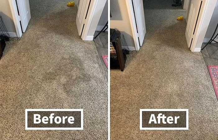 Pet Odors In A Carpet Are A Nightmare But <a Style="Display:inline;" Href="Https://Www.amazon.com/Resolve-Ultra-Stain-Remover-Messes/Dp/B07fkkp72w?crid=7tz40rkgmz4p&dib=eyj2ijoimsj9.jvbaxf_zidt_ju9fcrljudu6ej-Xeczbrx74krtc-8oemkpuyuyuirqiq0sx5ahg1dflrhsk-Js2taexet0ml2qthiaoo7wbd3itsfesbijuy5ry7cskscitsn3tsupr1imzjdabcmo8fxxkpxr0x9e0q3czu_9uxvbwv97kxufjvxeyy8igmodktnegnmfaf0gp1puc8xpwexx1dznabo1wzcgyls1qedl-Khagepanrsvalrxnruncjjfyokwae4x02az8h2sdk1v3kks5qoglmweqmf2vgl8h_d0-13u.rqv68nyxz8v62wfey88aq1sqvteg3nktkeltqgcztqe&dib_tag=se&keywords=pet+cleaner&qid=1725525930&sprefix=pet+clean%2caps%2c215&sr=8-6&linkcode=ll1&tag=bpgecko-20&linkid=527acce177ac168ab354d87b585be0dc&language=en_us&ref_=as_li_ss_tl" Target="_blank"><span Style="Font:inherit;color:#d74b1f;"> Pet Odor Remover </Span>  Works Like A Charm