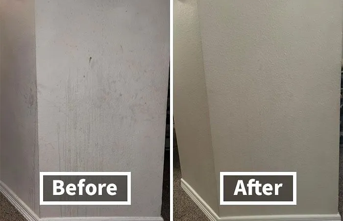 You''ll Be Surprised How Many Odors Can Hide On Walls And Ceilings.  Try <a Style="Display:inline;" Href="Https://Www.amazon.com/Zep-Zufwc18-Foaming-Wall-Cleaner/Dp/B06x9xq7jl?crid=1cxhfekz8kl52&dib=eyj2ijoimsj9.m222n3bdcdybhn3xu46vnrrhyrp7qzrbae6gfrutsreg1wbdvpthzsxit0tbcius-Au01medj3iukzwkrzbmbzri9hjgzwkn19fprjzxwem9lthzpcfnddzxkjoirygtcgkrrejun9_hapzrcsfbtd1viubw37na4j24ylzf6ngjgbm_gsrxj3ofd_uymk7uxnvwfv2cethfn2rebuznfg.sykbuhp9jquto9xozit-T2osygmgegwe5nyjqgw-14c&dib_tag=se&keywords=walls+and+ceilings+cleaner&qid=1725527738&sprefix=walls+and+ceilings+cleane%2caps%2c225&sr=8-6&linkcode=ll1&tag=bpgecko-20&linkid=7080d865bdf156e705854d5c940b1a7a&language=en_us&ref_=as_li_ss_tl" Target="_blank"><span Style="Font:inherit;color:#d74b1f;"> Foaming Wall Cleaner </Span> Instead