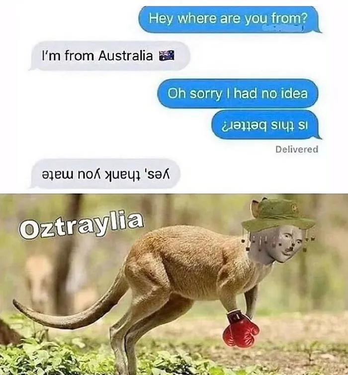 50 Random Memes To Share With A Random Person At The Bus Stop