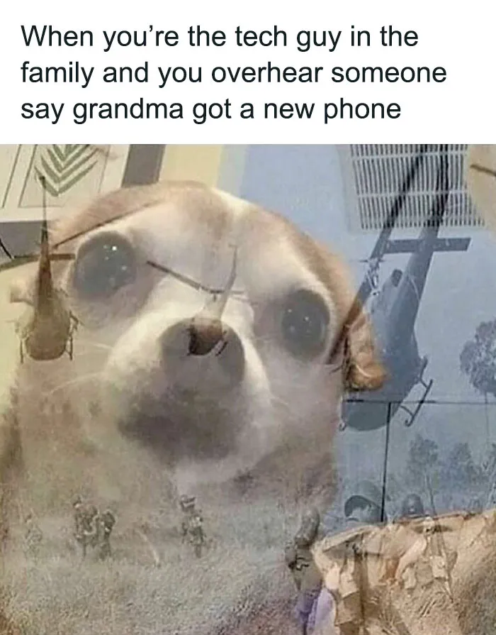 50 Random Memes To Share With A Random Person At The Bus Stop