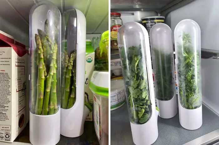 The Secret To Keeping Your Herbs Fresh And Flavorful For Weeks? <a Style="Display:inline;" Href=" Https://Www.amazon.com/Dp/B00ksuujg2?ascsubtag=7710083%2c3%2c43%2cd%2c0%2c0%2c0%2c900%3a2%3b974%3a3%3b1125%3a3%3b1338%3a1%2c49587941%2c0%2c0&th=1%25252cbf%252cbf%2cbf&btn_ref=srctok-938dcba0dce707ed&linkcode=ll1&tag=bpyak-20&linkid=2d59f5b05bb26a3e811aebd06fc45307&language=en_us&ref_=as_li_ss_tl " Target="_blank"><span Style="Font:inherit;color:#d74b1f;"> Herb Savor</Span> – Your Kitchen’s Best-Kept Secret!