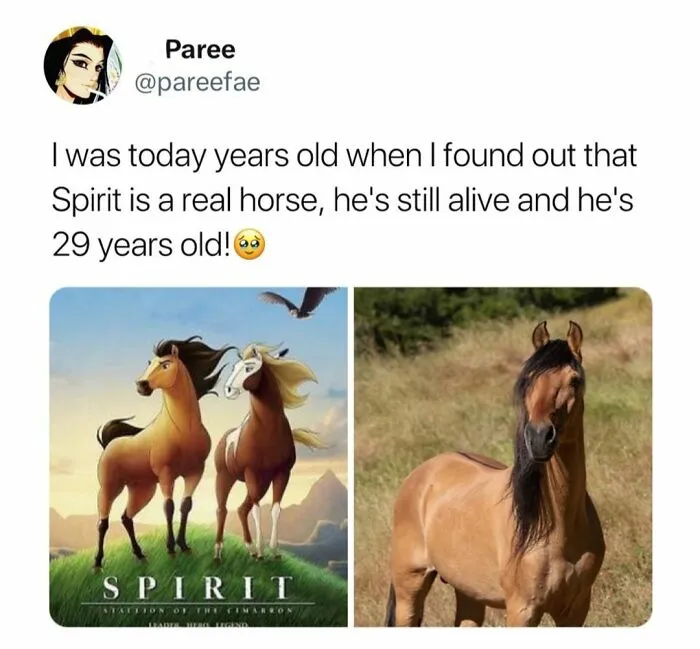 30 Nostalgic Posts About Iconic TV Shows And Films From The ‘90s And 2000s