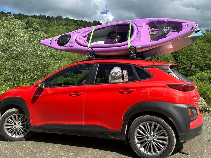 "My Old Town kayak was falling off the roof of my SUV and in a fit of stupidity I decided to catch it. I caught it and it snapped the distal bicep tendon on my right arm" - <span Style="Font:inherit;color:#808080"> Bassguitarmonster</Span>