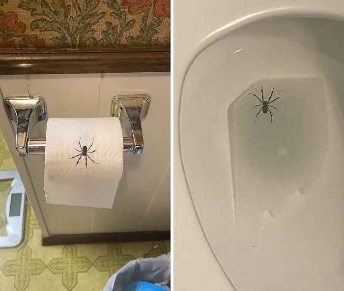 Turn Potty Time Into Prank Time, It's<a Style="Display:inline;" Href=" Https://Www.amazon.com/Dp/B07xlczrhz?asc_item-ID=amzn1.ideas.1oq4gkh8oflzy&linkcode=ll1&tag=bpkomodo-20&linkid=b4be211c07a3b95f16e657de0dfa8dbc&language=en_us&ref_=as_li_ss_tl " Target="_blank"><span Style="Font:inherit;color:#d74b1f;"> The Spider Funny Toilet Paper</Span>