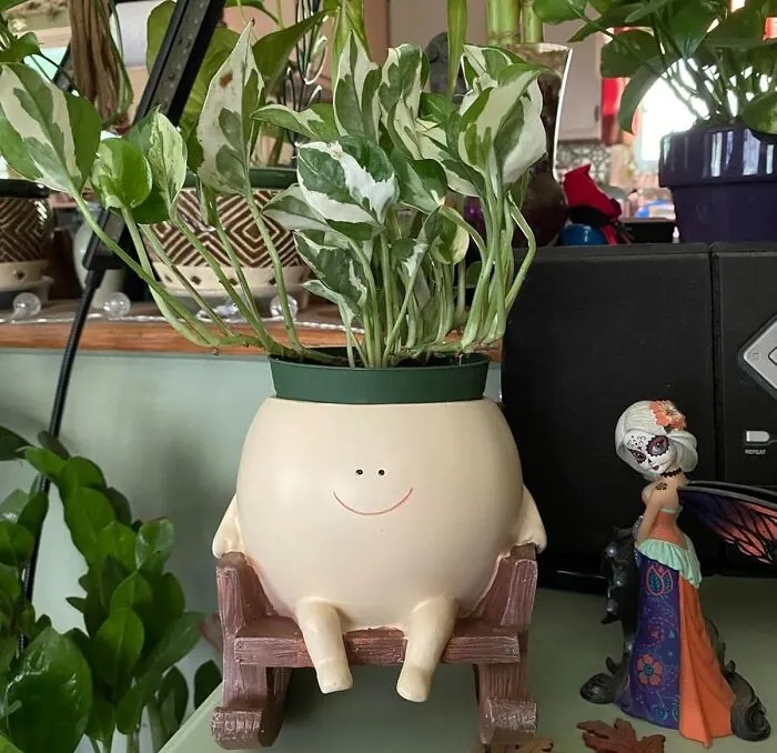 Indoor Ambiance Or Outdoor Charm, With This<a Style="Display:inline;" Href=" Https://Www.amazon.com/Umesong-Planters-Succulent-Appreciation-Christmas/Dp/B0cr383rwg?crid=1k1otxowa4oj9&dib=eyj2ijoimsj9.fwzpfzvsnh3j94tffradxyyzbkrfnoxxphj31vfhx41zh0n5xxq9s55son8sjtimq2gpkyajxye_rhyyeg2biofivz6vvzjz1wtw8k8x_9mf4sjgys-Z6uct93lmk5vvaial-Wnglol8fxlnh0yxpu3srrbxtdhbfte3w7vr5vejhvzsdxja2ndqsmbocqoynycsrjyaxmq86kwo8yburdryy2dogpfwo9fxybomsjniuyy1utzypt5saxxb_zt0zujmuw997ueue77f-Vm3xw9kwu4sdgutcbfkrqxnv6y.hld_qrw1adghepvyufgk0exzjbhjjq0m83_syjm0des&dib_tag=se&keywords=unique&qid=1726235665&sprefix=uniqu%2caps%2c218&sr=8-18&th=1&linkcode=ll1&tag=bpdolphin-20&linkid=2635be1b606ed703acea2cac413faf50&language=en_us&ref_=as_li_ss_tl " Target="_blank"><a Style="Display:inline;" Href=" Https://Www.amazon.com/Umesong-Planters-Succulent-Appreciation-Christmas/Dp/B0cr383rwg?crid=1k1otxowa4oj9&dib=eyj2ijoimsj9.fwzpfzvsnh3j94tffradxyyzbkrfnoxxphj31vfhx41zh0n5xxq9s55son8sjtimq2gpkyajxye_rhyyeg2biofivz6vvzjz1wtw8k8x_9mf4sjgys-Z6uct93lmk5vvaial-Wnglol8fxlnh0yxpu3srrbxtdhbfte3w7vr5vejhvzsdxja2ndqsmbocqoynycsrjyaxmq86kwo8yburdryy2dogpfwo9fxybomsjniuyy1utzypt5saxxb_zt0zujmuw997ueue77f-Vm3xw9kwu4sdgutcbfkrqxnv6y.hld_qrw1adghepvyufgk0exzjbhjjq0m83_syjm0des&dib_tag=se&keywords=unique&qid=1726235665&sprefix=uniqu%2caps%2c218&sr=8-18&th=1&linkcode=ll1&tag=bpdolphin-20&linkid=2635be1b606ed703acea2cac413faf50&language=en_us&ref_=as_li_ss_tl " Target="_blank"><span Style="Font:inherit;color:#d74b1f;"> Rocking Chair Succulent Pot</Span>