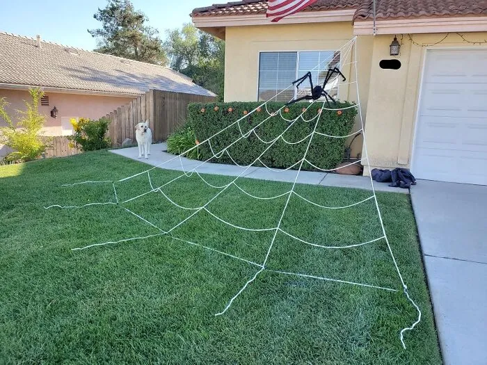 This   <a Style="Display:inline;" Href="Https://Www.amazon.com/Ocato-Halloween-Decorations-Triangular-Costumes/Dp/B07twf8jz1?ie=utf8&linkcode=ll1&tag=bptoucan-20&linkid=76530df17104739782ab51573859b015&language=en_us&ref_=as_li_ss_tl" Target="_blank"><span Style="Font: Inherit; Color: #d74b1f;"> Giant Spiderweb</Span> Will Turn Your Yard Into The Ultimate Halloween Hangout - Just Don't Invite Any Arachnophobes!