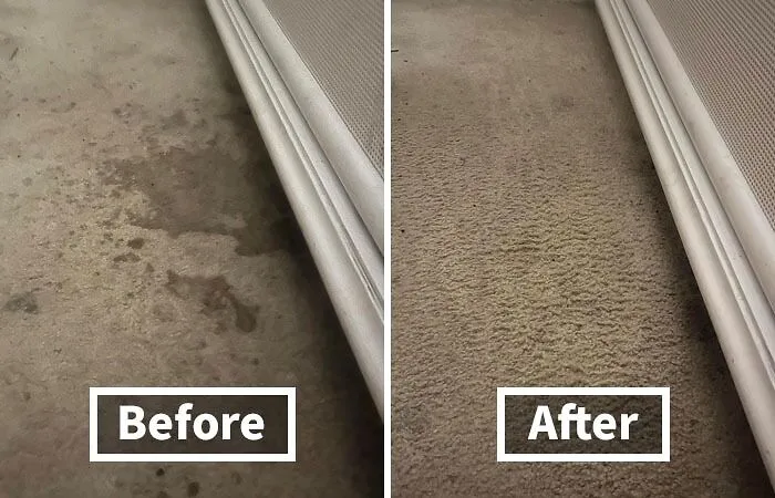 Erase Spills And Stains With <a Style="Display:inline;" Href=" Https://Www.amazon.com/Folex-Carpet-Spot-Remover-32/Dp/B001b0v5gg?ie=utf8&linkcode=ll1&tag=bpbee-20&linkid=c89797dad813a4a37b2e95aaabc07796&language=en_us&ref_=as_li_ss_tl " Target="_blank"> <span Style="Font: Inherit; Color: #d74b1f;"> Carpet Spot Remover</Span>: Quickly Tackles Tough Spots To Keep Your Carpets Looking Fresh And Clean