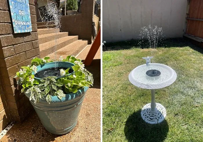 Turn Your Birdbath Into A 5-Star Avian Spa With This <a Style="Display:inline;" Href="Https://Www.amazon.com/Gp/Product/B085th7dn4?&linkcode=ll1&tag=bpoctopus-20&linkid=46dd4054b517d5cd65245561d2c96dfe&language=en_us&ref_=as_li_ss_tl" Target="_blank"><span Style="Font: Inherit; Color: #d74b1f;"> Solar Bird Bath Fountain Pump</Span> – No Electricity Bill Required!