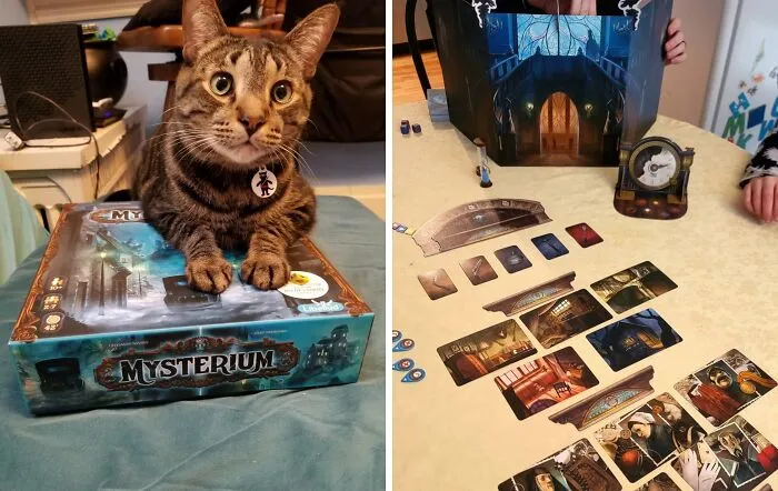 <a Style="Display:inline;" Href=" Https://Www.amazon.com/Asmodee-Myst01-Mysterium/Dp/B013tj5p80?crid=1b4j4ow06hj65&dib=eyj2ijoimsj9.oiwnoxrnw1hmpqun8refhgusobmtkngbiecypyryotqvxvubdbujtrg32jou8vuxzkrem1pmfkq4nztb9pqs9jahpf_ocxfydpx4csxykffsifg8o1htksfptcp36c4memoepzrg8ynrur4cnl5f3ff0bcxo7ztjftxjogkbvwkvgf2kyyunj7qfzsb2yli6lobl7fef0klz4rzb1c4iwu9gyy120oe60pzdpgggqb_u5ngkwdlbhzfman937r5aipe7_hyfjoakhx6qqflnklsra-Hvpbbxnduj1axi6e0.dgwflng3xvoytphbtwbyy4yg80jbecot_0i7hn9bcay&dib_tag=se&keywords=mysterium&qid=1726487261&sprefix=mysterium%2caps%2c338&sr=8-1&th=1&linkcode=ll1&tag=bpkangaroo-20&linkid=3bbb22173960d36179eecc9148712a90&language=en_us&ref_=as_li_ss_tl " Target="_blank"><span Style="Font:inherit;color:#d74b1f;"> Mysterium</Span> Turns Ghostly Intrigue Into An Exciting Cooperative Adventure