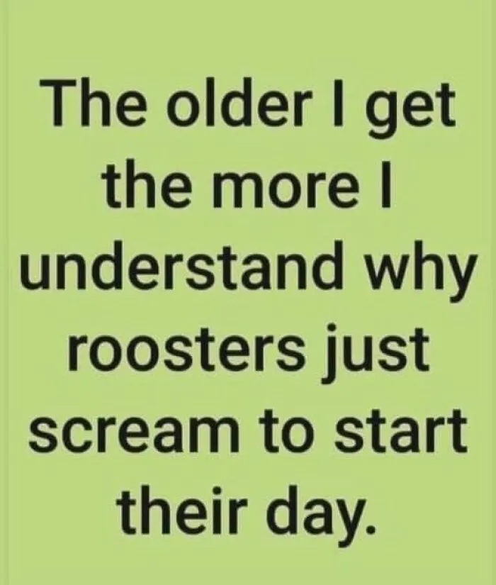 50 Hilarious Random Memes To Brighten Up Your Day (New Pics)