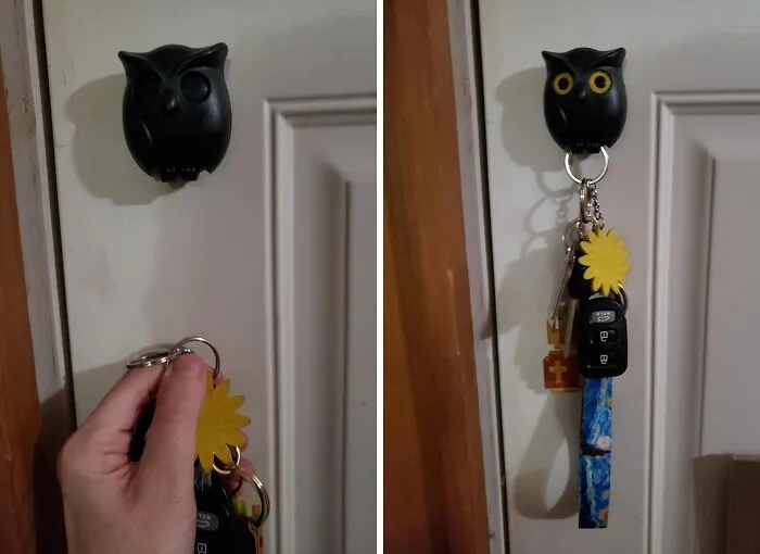 Hoo's Got Your Keys? This Adorable   <a Style="Display:inline;" Href="Https://Www.amazon.com/Dp/B08tvnqfj4?asc_item-ID=amzn1.ideas.2dh9u6nhwv3nh&th=1&linkcode=ll1&tag=bpfox-20&linkid=1ea6d1df32ebce81eda7fa0877d80511&language=en_us&ref_=as_li_ss_tl" Target="_blank"><span Style="Font: Inherit; Color: #d74b1f;"> Owl Key Holder</Span> Will Keep Them Safe And Sound