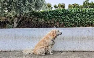 50 Pics Of Worn-Down Things That Illustrate Exactly How Time Works (New Pics)