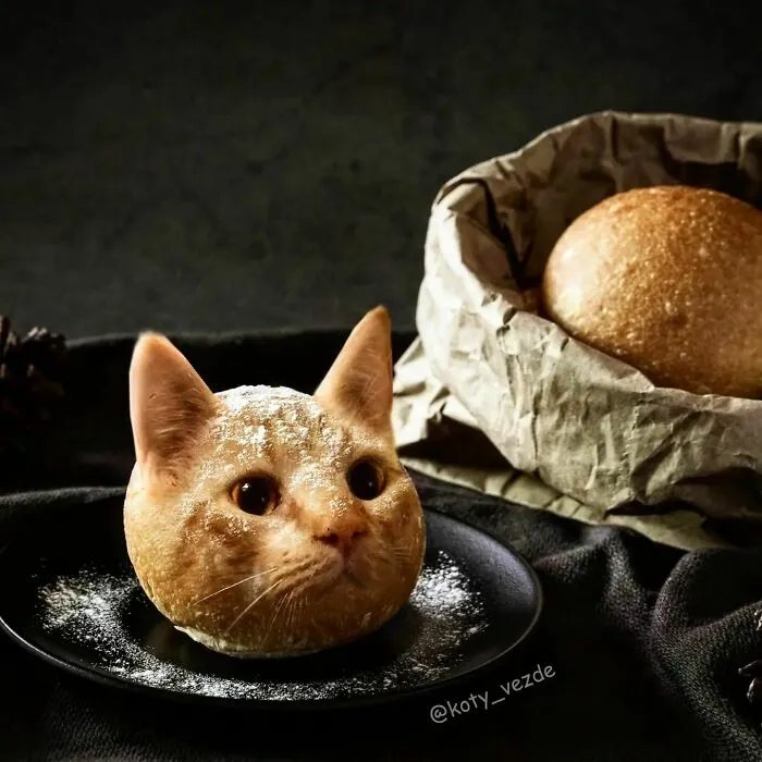 Artist Photoshops Cat Faces On Almost Everything And Here Is The Result (56 New Pics)