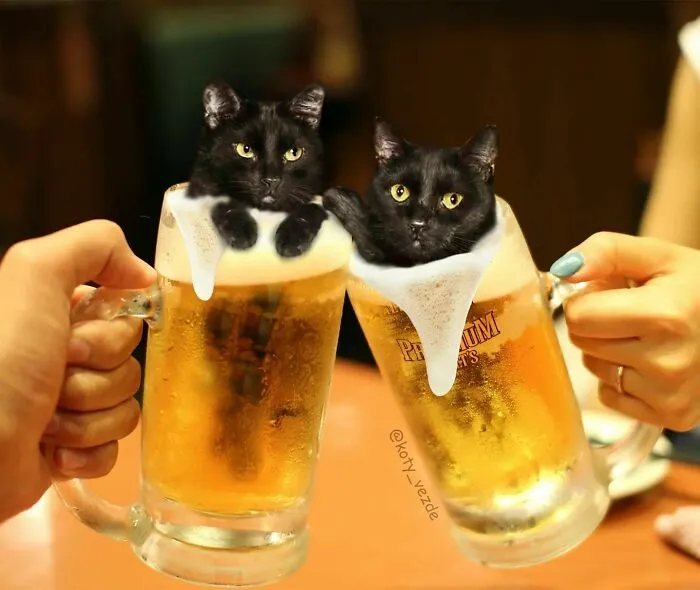Artist Photoshops Cat Faces On Almost Everything And Here Is The Result (56 New Pics)