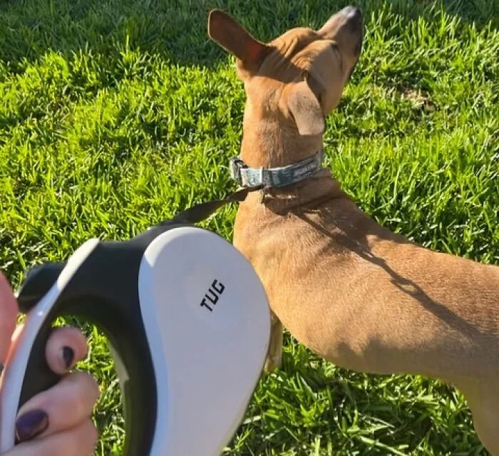 "Walking the dog in the morning before everyone is awake and walking him in the evening when everyone is in bed." - <span Style="Font:inherit;color:#808080"> nwjckcty</Span>