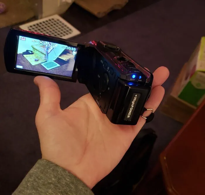 "Take videos!! You’ll forget all the adorable squeaks, hums, and the unique way they pronounce words." - <span Style="Font:inherit;color:#808080"> muthaclucker</Span>
