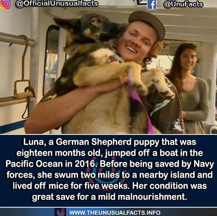 50 Posts From This FB Page Dedicated To “Amazing Facts And Unbelievable Things In The World” (New Pics)