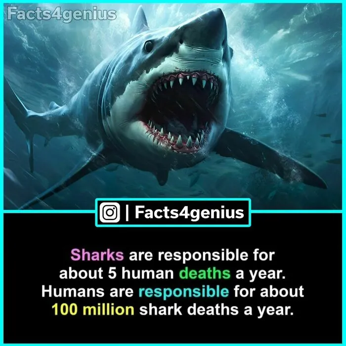 50 Posts From “Facts For Genius” That Might Teach You Something New (New Pics)