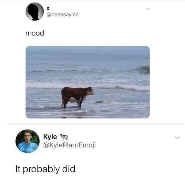 50 Hilariously Adorable Animal Memes To Make Your Day