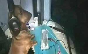 50 Of The Most Cursed Images For People Who Have A Higher Tolerance For Bizarreness (New Pics)