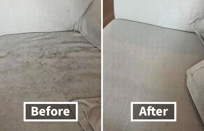 Clean Up All Your Pet Hair From Furniture With A    <a Style="Display:inline;" Href="Https://Www.amazon.com/Pet-Dog-Cat-Hair-Remover-Couch/Dp/B00bagtnaq?ie=utf8&th=1&linkcode=ll1&tag=bppeacock-20&linkid=4e6313ee0042c231e33d7031342a5fb9&language=en_us&ref_=as_li_ss_tl" Target="_blank"><span Style="Font:inherit;color:#d74b1f;"> Chom Chom Roller</Span>