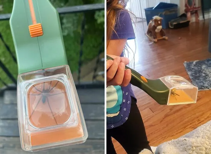 Fear Of Spiders? Not Anymore! This   <a Style="Display:inline;" Href=" Https://Www.amazon.com/Gp/Product/B000jq5azk?th=1&linkcode=ll1&tag=bpcrow-20&linkid=0afcc18236f153e781a07e2aebea39d1&language=en_us&ref_=as_li_ss_tl" Target="_blank"><span Style="Font: Inherit; Color: #d74b1f;"> Quick-Release Bug Catching Tool And Magnifier</Span> Lets You Safely Observe Those Creepy Crawlies From A Distance