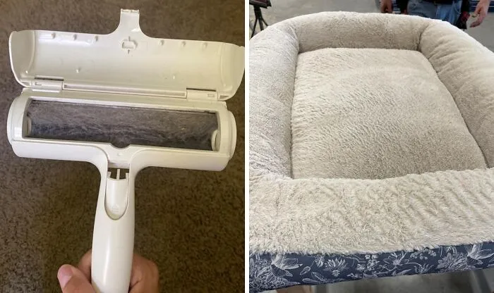 Your Couch Is About To Be Fur-Free And Fabulous Thanks To The   <a Style="Display:inline;" Href="Https://Www.amazon.com/Pet-Dog-Cat-Hair-Remover-Couch/Dp/B00bagtnaq?ie=utf8&th=1&linkcode=ll1&tag=bpdonkey-20&linkid=11772d2e9f48ab2d64d0613e5cd8fa50&language=en_us&ref_=as_li_ss_tl" Target="_blank"><span Style="Font: Inherit; Color: #d74b1f;"> Chom Chom Pet Hair Remover</Span>