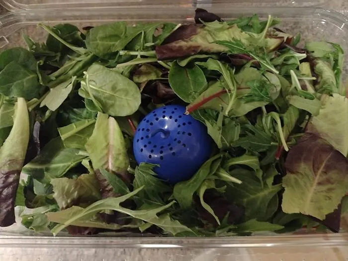Keep Your Produce Crisp And Your Wallet Happy – This   <a Style="Display:inline;" Href="Https://Www.amazon.com/Produce-Saver-Fruit-Fresh-Vegetables/Dp/B005w6drny?ie=utf8&linkcode=ll1&tag=bpdonkey-20&linkid=1ab4ad096a735adc7167e3e587138412&language=en_us&ref_=as_li_ss_tl" Target="_blank"><span Style="Font: Inherit; Color: #d74b1f;"> Ethylene Gas Absorber</Span>  Is The Ultimate Wingman For Fighting Food Waste