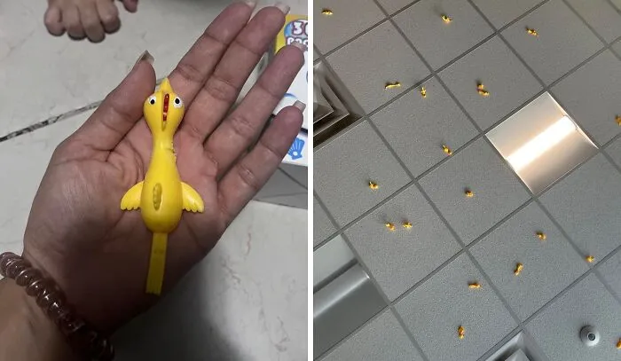 Turn Any Boring Meeting Into A Barnyard Brawl With This Hilarious   <a Style="Display:inline;" Href="Https://Www.amazon.com/Poplay-Slingshot-Flicking-Catapult-Stretchy/Dp/B0bxx8ttqt?crid=3w4uo51x3grj7&dib=eyj2ijoimsj9.vuxdcfy5ej8r1pmyejkkzvw1_gbpvazfgflmea-U60bycy1flz-Ru4x9ycmvn1qjsz0m-50zez6mcpnb7mchvohdwajcdfkdr2s8mz-Uh8x4o612m8ffqadmwugnalae-Q6t9cye3t9ykxlc80x35xa5tut1txv2swouf4kx7h6xmmo8gd0pkzycmxot0inc8ndtuu0t7hmwq0ks9ezwskxmjadekmfgo3gt7kikejml6ed-Kiey6rigvxz6hfjwdhkr6htdlxgzbr_gtqyzbepsx3teletlpycpgeuimhs.xf9n02tf_3ldzglfprd_jkp9_vcdfzpkcxgwycflqc4&dib_tag=se&keywords=fun+gifts+for+adults&qid=1726650943&sprefix=fun+gifts+%2caps%2c395&sr=8-18&linkcode=ll1&tag=bpkoala-20&linkid=10cbcda594b8c37b8cc138455f9c0081&language=en_us&ref_=as_li_ss_tl" Target="_blank"><span Style="Font: Inherit; Color: #d74b1f;"> Flying Chicken Slingshot</Span>