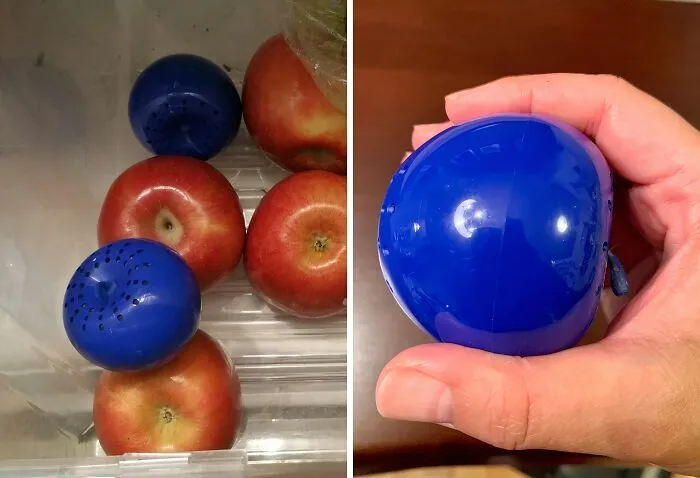 Your Fridge Will Be Thanking You For Finally Putting An End To The Food Waste With This Ingenious   <a Style="Display:inline;" Href=" Https://Www.amazon.com/Dp/B005w6drny?asc_item-ID=amzn1.ideas.3mc9pfl3whn6k&linkcode=ll1&tag=bpgoat-20&linkid=9ad67832b876f561d513c02a65c997e5&language=en_us&ref_=as_li_ss_tl " Target="_blank"><span Style="Font: Inherit; Color: #d74b1f;"> Bluapple Produce Saver</Span>