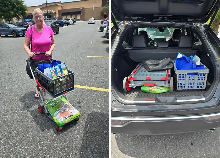 From Grocery Hauls To Beach Trips, This   <a Style="Display:inline;" Href=" Https://Www.amazon.com/Functional-Collapsible-Folding-Trolley-Shopping/Dp/B091b4769l?crid=248izcejo3xq2&dib=eyj2ijoimsj9.kz7f6dwr266brrmnajsv8wwjysqjqmecstaq_qjk6nir5on5nl07qskesdthoqgrb4q1fxpfyexeubk7yjp9wetiq2qrkd3pckcdayhnwuh3hngjm4hnianbabcvofgvu0kdewdlq40k4sczu32mgw_3sqrms5otonenzwlhgjedawbfq506c02w8nn8rhot2peczbv5jgcsxhk4vsvhmiag9sfum7sc7s6cnp47qcu.gwimcqswahjiuvn0iqto6et8abzkp6nskkge4arud80&dib_tag=se&keywords=clax%2bcart&qid=1725985256&sprefix=clax%2bcar%2caps%2c91&sr=8-3&ufe=app_do%3aamzn1.fos.f5122f16-C3e8-4386-BF32-63e904010ad0&th=1&ascsubtag=srctok-599cc4e079be94dd&btn_ref=srctok-599cc4e079be94dd&linkcode=ll1&tag=bpcrow-20&linkid=b5bfd45916af57588a19cf12206707c4&language=en_us&ref_=as_li_ss_tl" Target="_blank"><span Style="Font: Inherit; Color: #d74b1f;"> Mobile Folding Trolley</Span> Is The Versatile Companion For Every Adventure