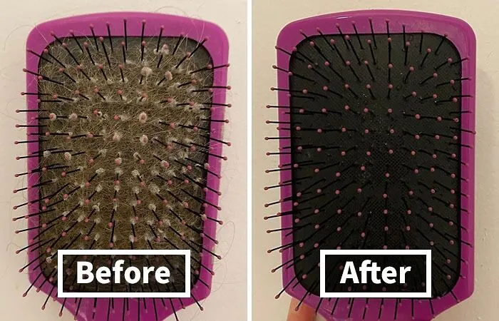 Hairbrush Looking Like A Science Experiment Gone Wrong? This   <a Style="Display:inline;" Href="Https://Www.amazon.com/Denman-Dcb1-Hair-Brush-Cleaner/Dp/B001tsb9ma?ie=utf8&linkcode=ll1&tag=bpsquid-20&linkid=6ee5cbbf360ebd9e39b259f576038b7e&language=en_us&ref_=as_li_ss_tl " Target="_blank"><span Style="Font: Inherit; Color: #d74b1f;"> Hairbrush Cleaning Brush</Span> Will Detangle The Mess And Restore Your Brush To Its Former Glory