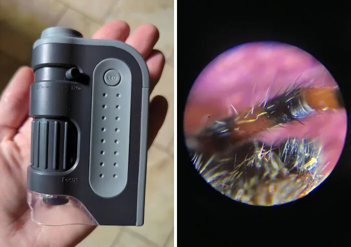 Unleash Your Inner Scientist (Or Just Satisfy Your Curiosity) With This   <a Style="Display:inline;" Href="Https://Www.amazon.com/Carson-Microbrite-60x-120x-Lighted-Microscope/Dp/B00lax52iq?th=1&linkcode=ll1&tag=bpibis-20&linkid=dbf8c418aa3fecf6d3f1a2fd1fea8697&language=en_us&ref_=as_li_ss_tl " Target="_blank"><span Style="Font: Inherit; Color: #d74b1f;"> Pocket Microscope</Span> - It's Like Having A Whole New World In Your Pocket! 
