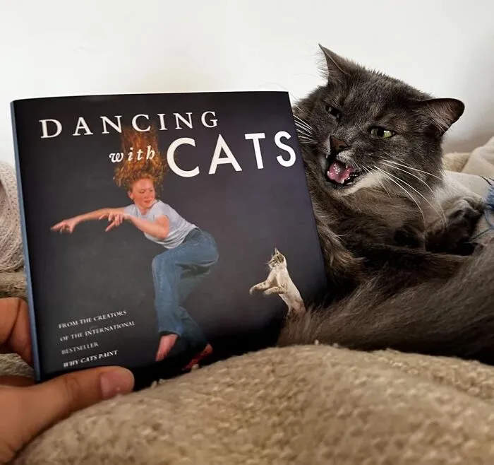Think Cats Can't Groove? Think Again! <a Style="Display:inline;" Href="Https://Www.amazon.com/Dancing-Cats-Creators-International-Seller/Dp/0811824152?ie=utf8&linkcode=ll1&tag=bpgorilla-20&linkid=ddbf25b587583dd59122dd6dbb783782&language=en_us&ref_=as_li_ss_tl " Target="_blank"><span Style="Font: Inherit; Color: #d74b1f;"> Dancing With Cats</Span> Will Have You And Your Feline Friend Waltzing In No Time
